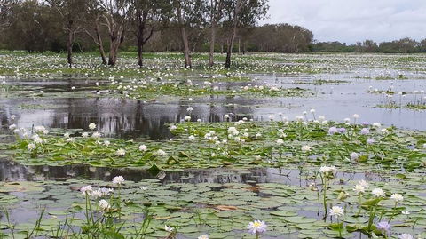Kakadu, Nourlangie And Yellow Waters Tour From Darwin - Tourism Guide 12