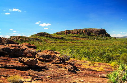 Kakadu, Nourlangie And Yellow Waters Tour From Darwin - Tourism Guide 34