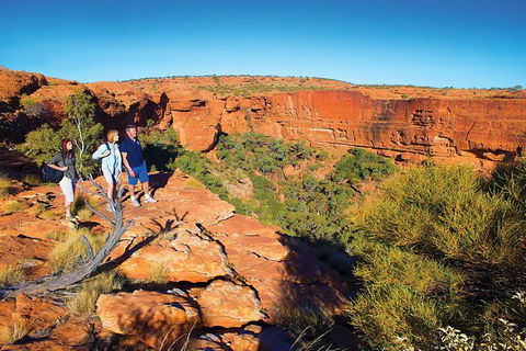 Coach Transfer From Ayers Rock To Kings Canyon - Tourism Guide 6