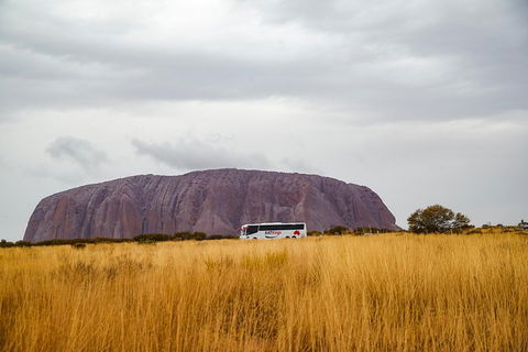 Coach Transfer From Ayers Rock To Kings Canyon - Tourism Guide 4