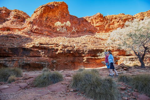 Coach Transfer From Ayers Rock To Kings Canyon - Tourism Guide 7