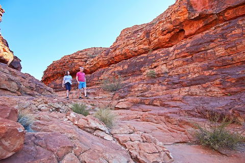 Coach Transfer From Kings Canyon To Alice Springs - Tourism Guide 4
