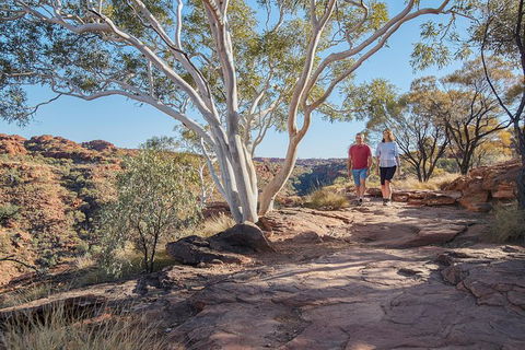 Coach Transfer From Kings Canyon To Alice Springs - Tourism Guide 8