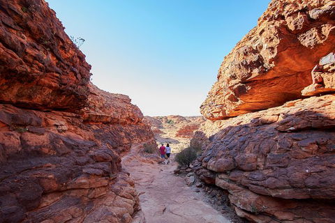 Coach Transfer From Kings Canyon To Alice Springs - Tourism Guide 7