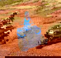 Aussie Outback Air and Land Tour Including Quad Bike Ride - Tourism Guide