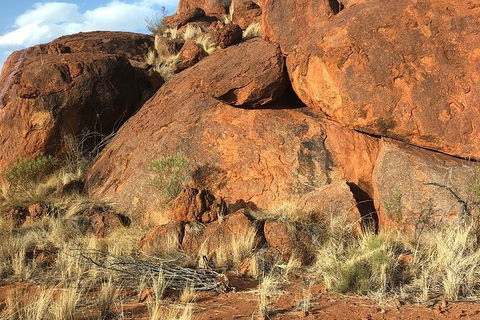 Aboriginal Homelands Experience From Ayers Rock Including Sunset - Tourism Guide 9