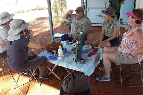 Aboriginal Homelands Experience From Ayers Rock Including Sunset - Tourism Guide 2