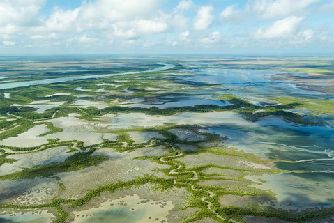 Darwin To Kakadu Day Trip By Air Including Yellow Water Cruise - Tourism Guide 3