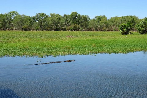 Darwin To Kakadu Day Trip By Air Including Yellow Water Cruise - Tourism Guide 8