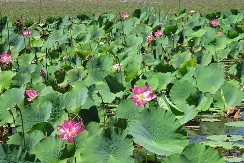 Darwin To Kakadu Day Trip By Air Including Yellow Water Cruise - Tourism Guide 10
