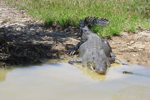 Darwin To Kakadu Day Trip By Air Including Yellow Water Cruise - Tourism Guide 5