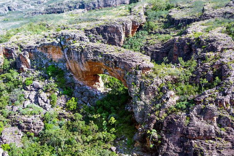 Darwin To Kakadu Day Trip By Air Including Yellow Water Cruise - Tourism Guide 13