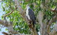 Darwin To Kakadu Day Trip By Air Including Yellow Water Cruise - thumb 6