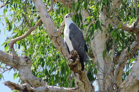 Darwin To Kakadu Day Trip By Air Including Yellow Water Cruise - Tourism Guide 6