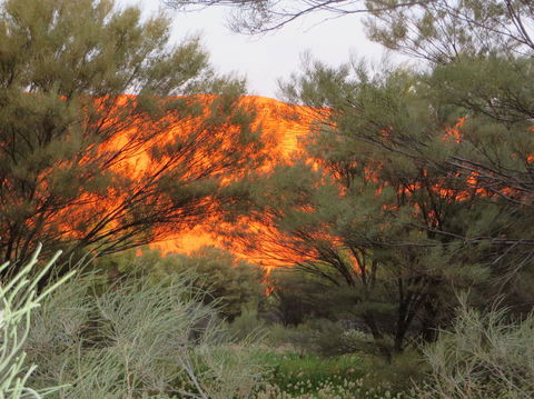 3-Day Ayers Rock, Olgas And Kings Canyon Camping Safari - Tourism Guide 6