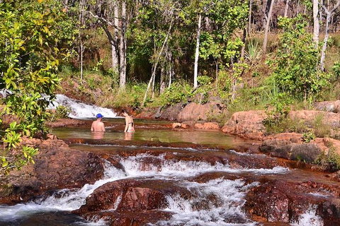 Litchfield National Park Day Tour From Darwin With Waterfalls And Buley Rockhole - Tourism Guide 0