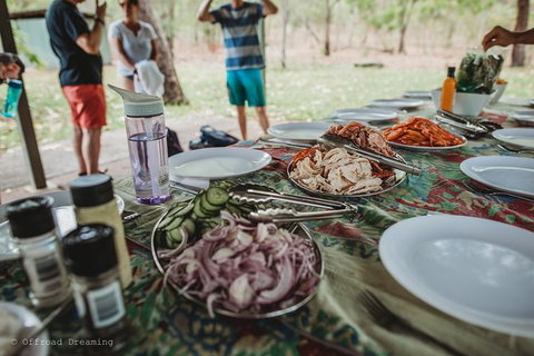 Litchfield National Park Day Tour From Darwin With Waterfalls And Buley Rockhole - Tourism Guide 4