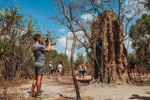 Litchfield National Park Day Tour From Darwin With Waterfalls And Buley Rockhole - Tourism Guide 7