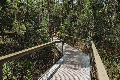 Litchfield National Park Day Tour From Darwin With Waterfalls And Buley Rockhole - Tourism Guide 5