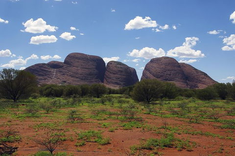 Uluru (Ayers Rock) And The Olgas Tour Including Sunset Dinner From Alice Springs - Tourism Guide 0