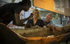 Tiwi By Design Day Tour - thumb 9