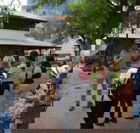Alice Springs Walking Tours - Tourism Guide