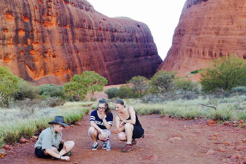 Afternoon Kata Tjuta Small Group Tour - Tourism Guide 7
