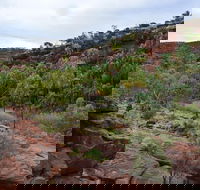 Palm Valley and Hermannsburg 1 Day 4WD Tour - Tourism Guide
