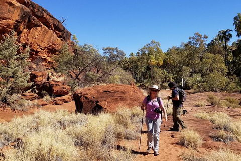 Palm Valley And Hermannsburg 1 Day 4WD Tour - Tourism Guide 5