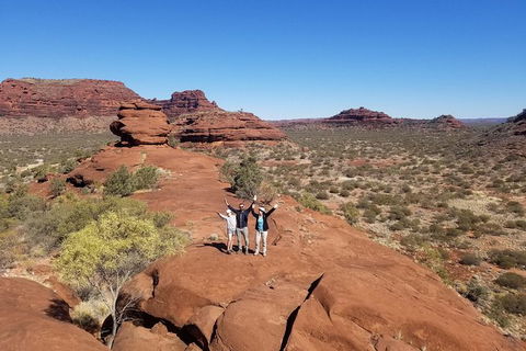 Palm Valley And Hermannsburg 1 Day 4WD Tour - Tourism Guide 4