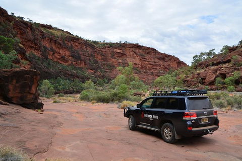 Palm Valley And Hermannsburg 1 Day 4WD Tour - Tourism Guide 3
