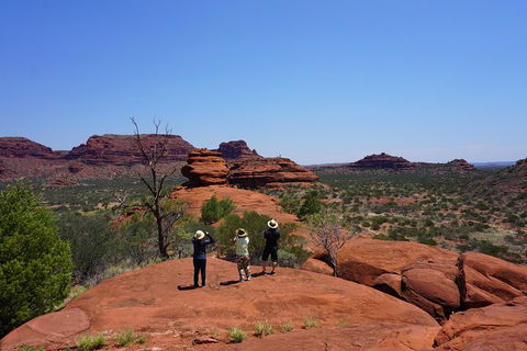 Palm Valley And Hermannsburg 1 Day 4WD Tour - Tourism Guide 2