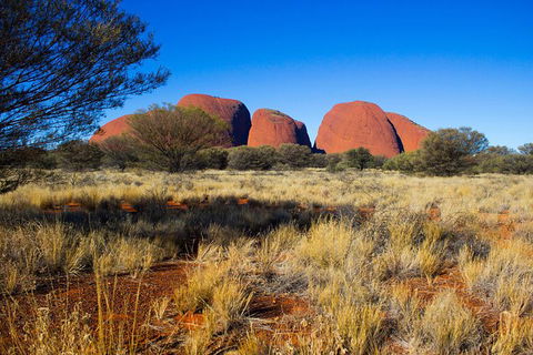 Ayers Rock 4 Tour Combo: Complete Uluru Base Walk At Sunrise, Valley Of The Winds At Sunrise, Kata Tjuta Sunset And Uluru Sunset - Tourism Guide 12
