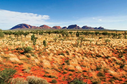 2-Day Uluru (Ayers Rock) And Kata Tjuta Trip From Alice Springs - Tourism Guide 9