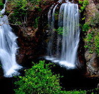 Litchfield Dreams 1 Day National Park Waterfall Swimming  Jumping Croc Cruise - Tourism Guide