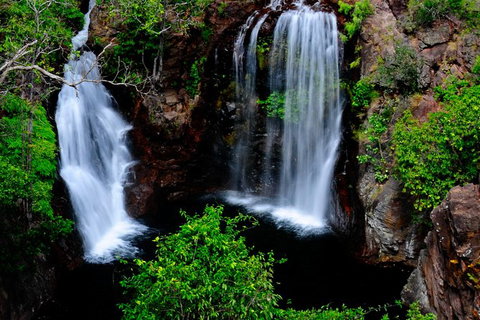 Litchfield Dreams 1 Day National Park Waterfall Swimming & Jumping Croc Cruise - Tourism Guide 0