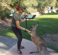 Sydney Private Day Tours - Central Coast Beaches Plus Wildlife  Reptile Park - Tourism Guide