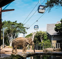 Sydney Taronga Zoo General Entry Ticket and Wild Australia Experience - Tourism Guide