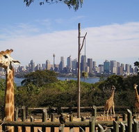 Sydney Taronga Zoo's Australian Animals Tour - Tourism Guide