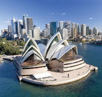 Sydney Morning Tour with Optional Lunch Cruise or Sydney Opera House Tour Upgrade - Tourism Guide