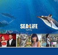 Sydney Attractions Pass SEA LIFE Aquarium Sydney Tower Eye WILD LIFE Zoo and Madame Tussauds - Tourism Guide