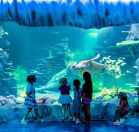 SEA LIFE Sydney Aquarium Entrance Ticket - Tourism Guide
