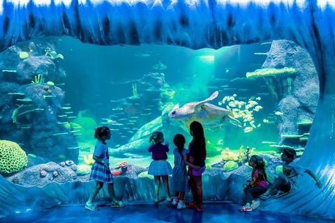 SEA LIFE Sydney Aquarium Entrance Ticket - Tourism Guide 0