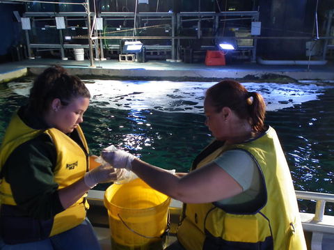 SEA LIFE Sydney Aquarium Entrance Ticket - Tourism Guide 14
