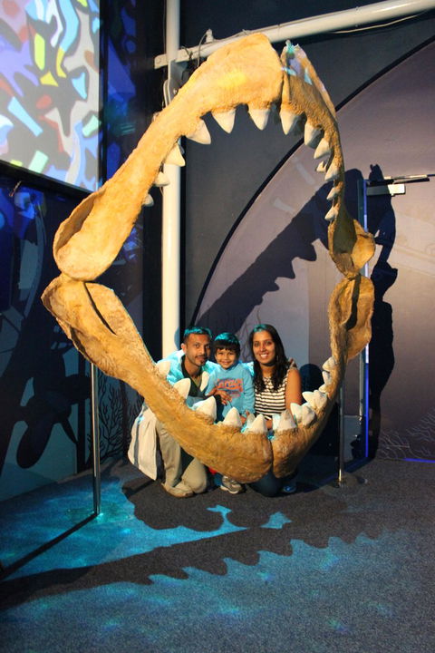 SEA LIFE Sydney Aquarium Entrance Ticket - Tourism Guide 6