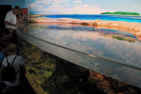 SEA LIFE Sydney Aquarium Entrance Ticket - Tourism Guide 24