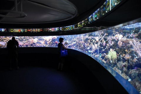 SEA LIFE Sydney Aquarium Entrance Ticket - Tourism Guide 23