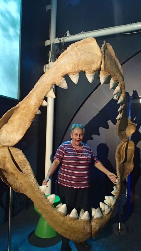 SEA LIFE Sydney Aquarium Entrance Ticket - Tourism Guide 3