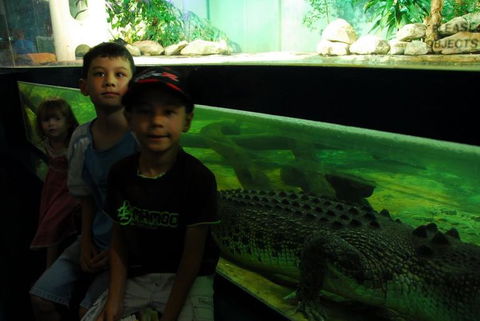 SEA LIFE Sydney Aquarium Entrance Ticket - Tourism Guide 22