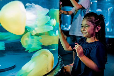 SEA LIFE Sydney Aquarium Entrance Ticket - Tourism Guide 26